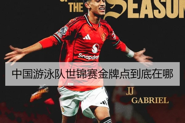 中国游泳队世锦赛金牌点到底在哪
